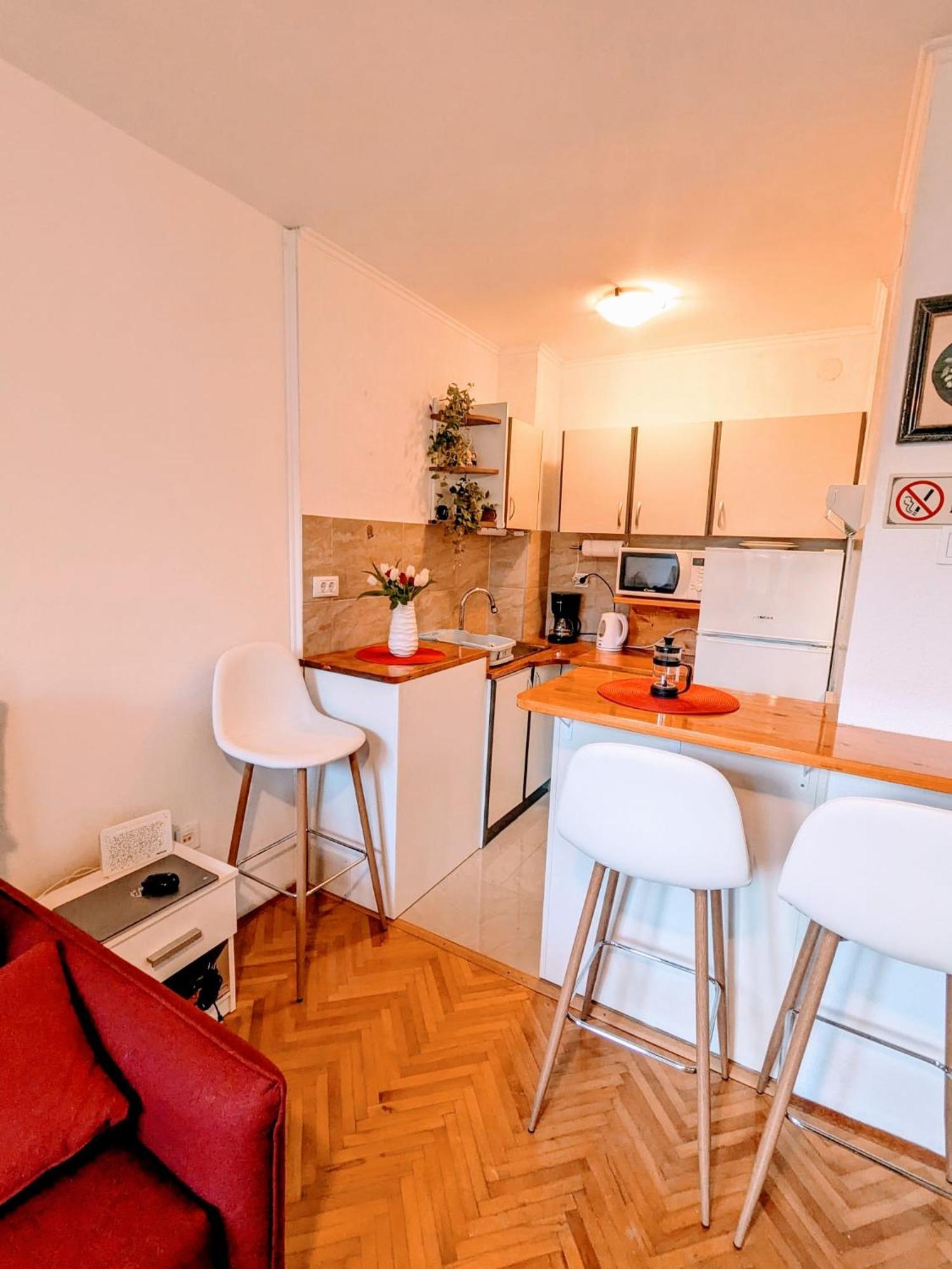Demass Apartment - Cozy, Free Parking And Wifi Dubrovnik Eksteriør billede