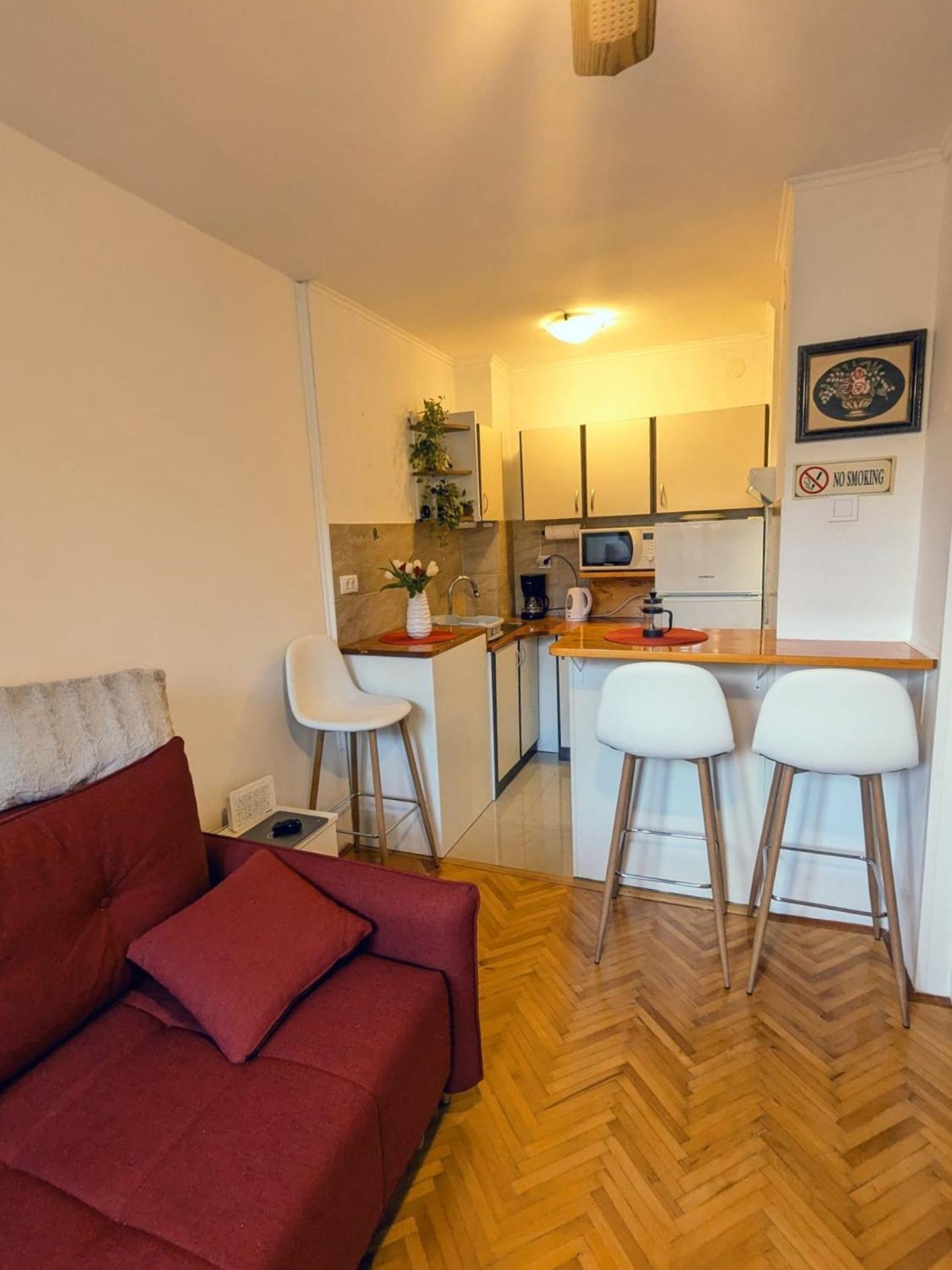 Demass Apartment - Cozy, Free Parking And Wifi Dubrovnik Eksteriør billede